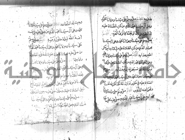 تنبيه الانام