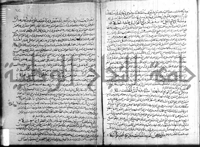 شرح الشاطبية