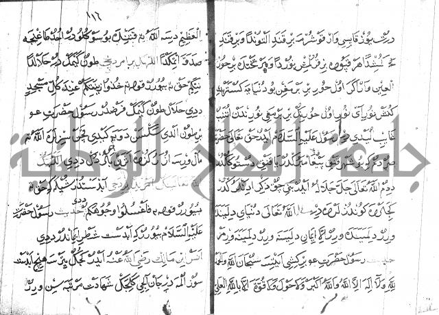 عبارات بالتركية