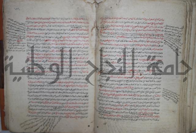 نهاية المحتاج الى شرح  المنهاج الجزء الثاني 