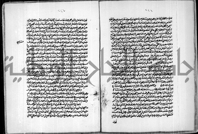 حاشية للعلامة الشيخ محمد الخضري الدين وعلومة