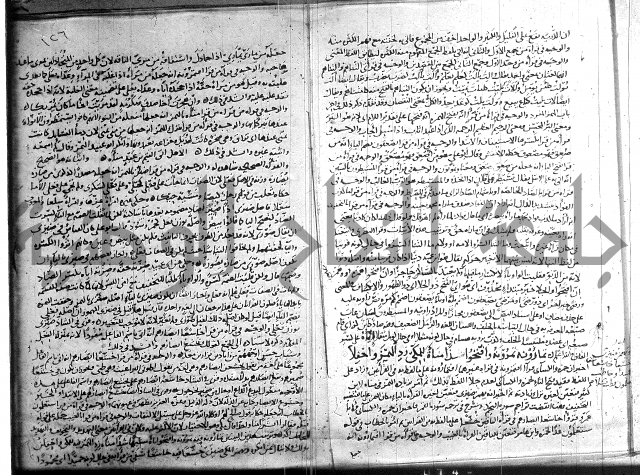 شرح الشاطبية