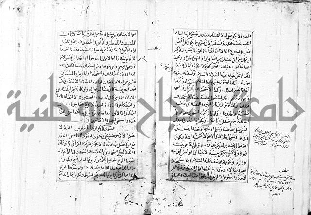 الاشباه والنظائر