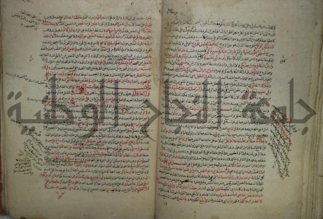 نهاية المحتاج الى شرح  المنهاج الجزء الثاني 