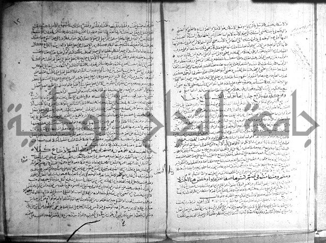 شرح الشاطبية