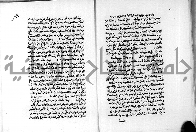 حاشية الجمل على تفسير الجلالين 