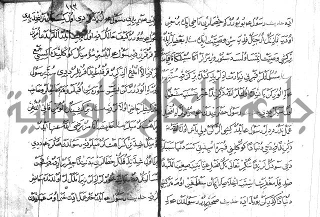 عبارات بالتركية