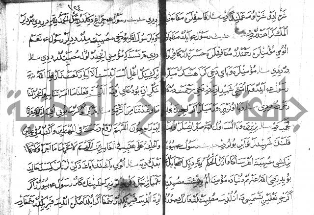 عبارات بالتركية