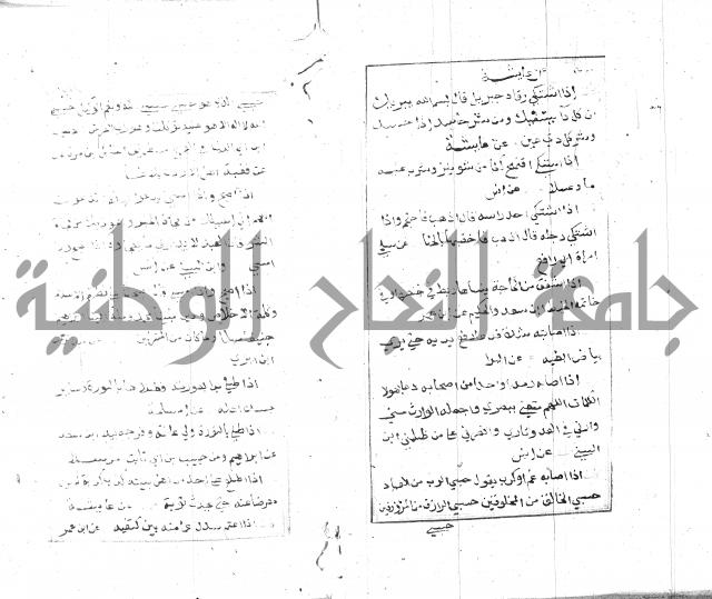 الجامع الصغير 