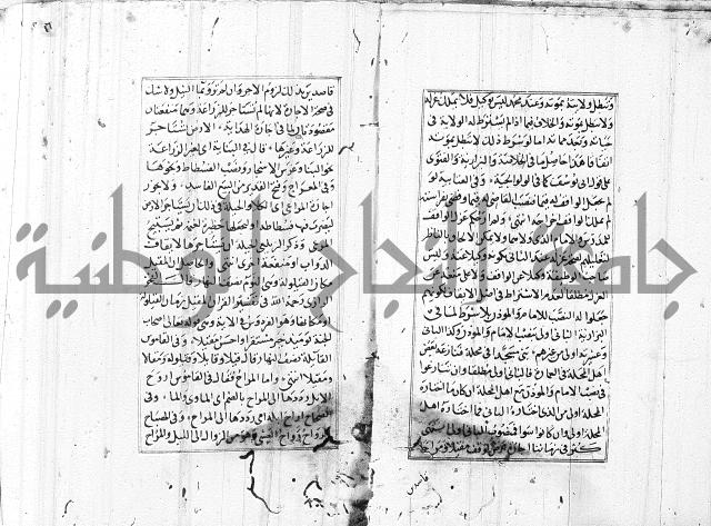 الاشباه والنظائر