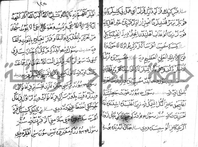 عبارات بالتركية