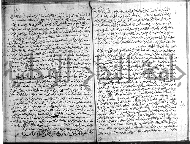 شرح الشاطبية