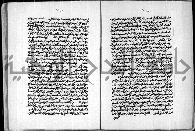 حاشية للعلامة الشيخ محمد الخضري الدين وعلومة