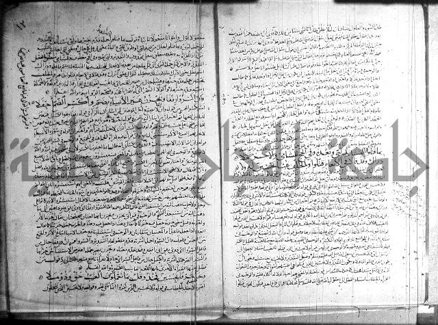 شرح الشاطبية