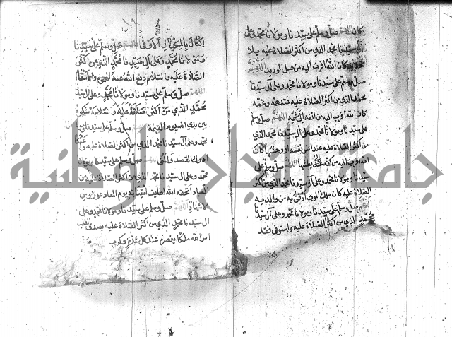 تنبيه الانام