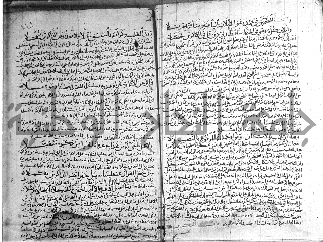 شرح الشاطبية