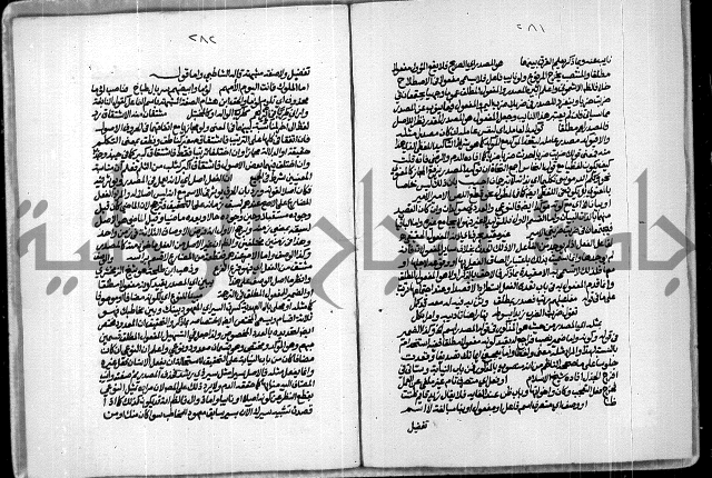 حاشية للعلامة الشيخ محمد الخضري الدين وعلومة