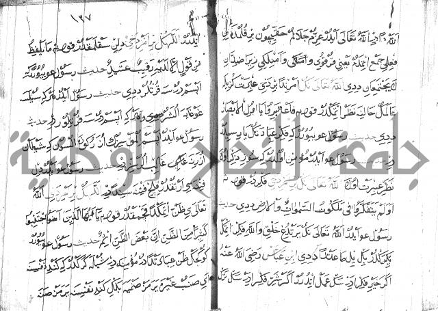 عبارات بالتركية