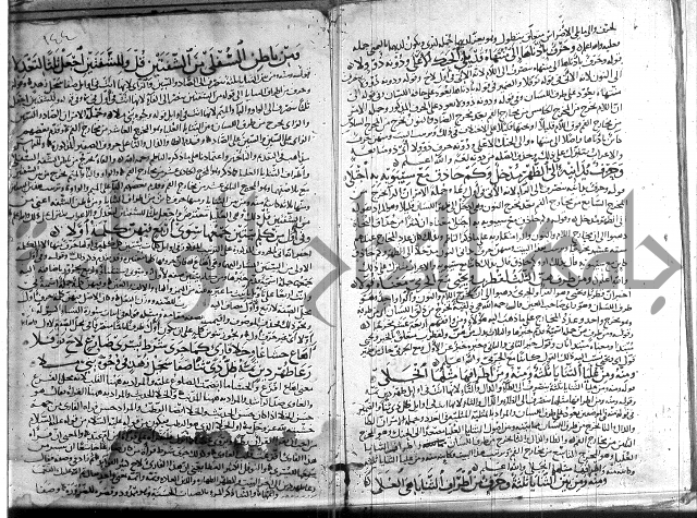 شرح الشاطبية