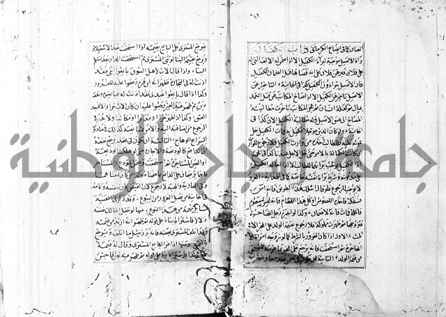 الاشباه والنظائر