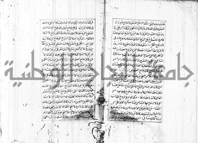 الاشباه والنظائر