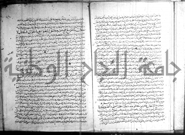 شرح الشاطبية