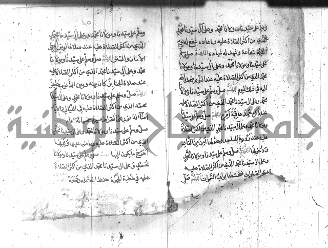 تنبيه الانام