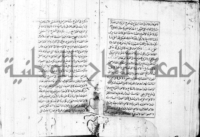 الاشباه والنظائر