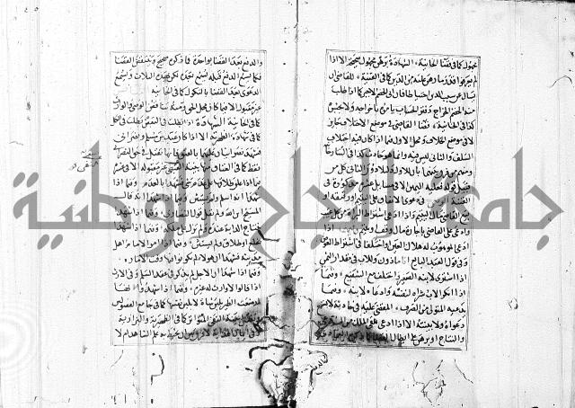 الاشباه والنظائر