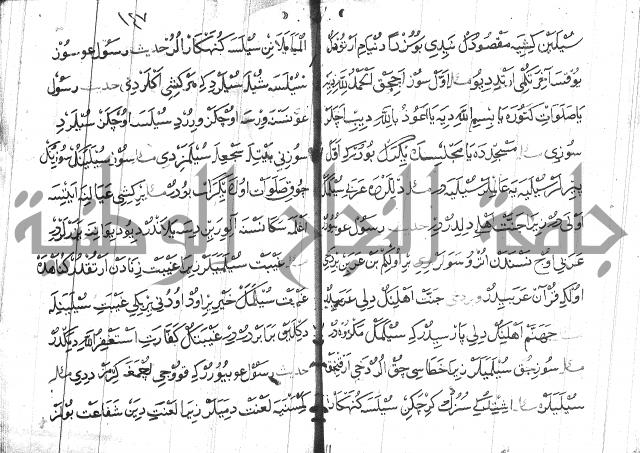 عبارات بالتركية