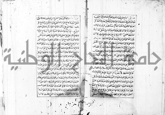 الاشباه والنظائر