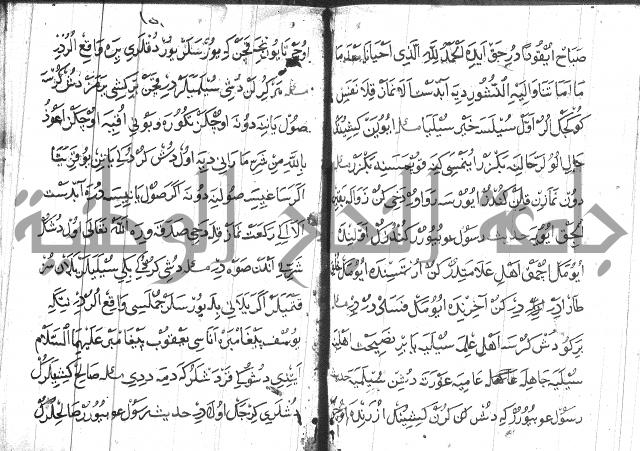 عبارات بالتركية