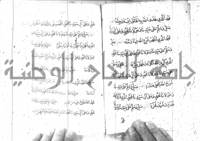 تنبيه الانام