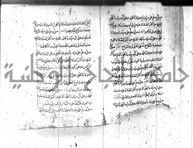 تنبيه الانام