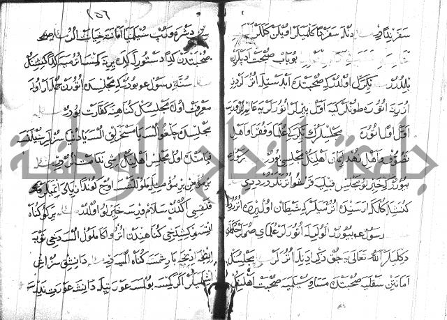 عبارات بالتركية