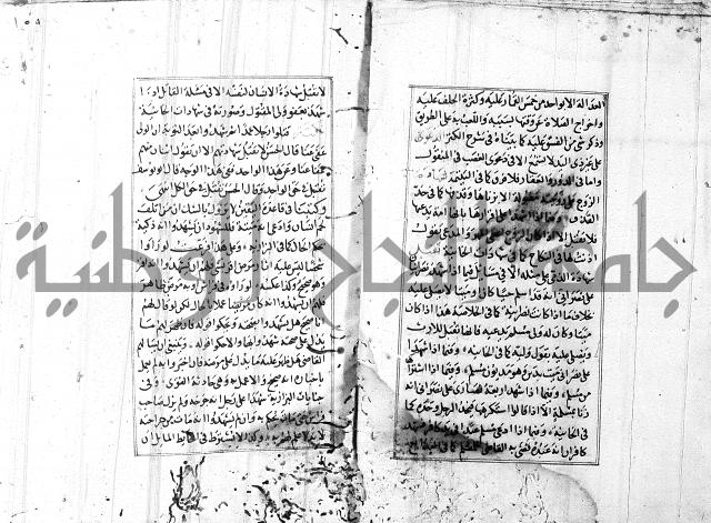 الاشباه والنظائر