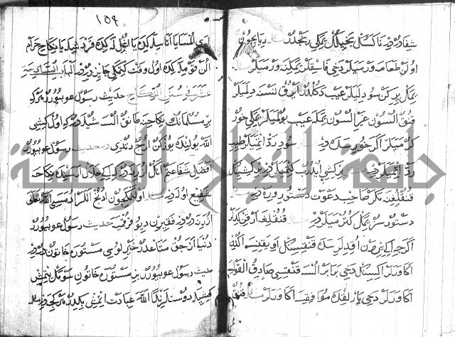 عبارات بالتركية