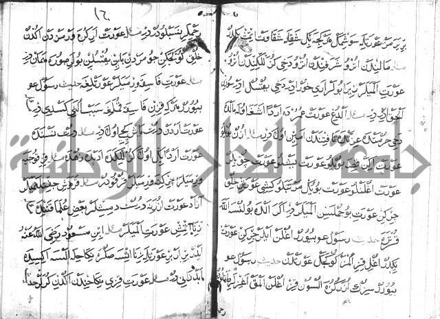 عبارات بالتركية