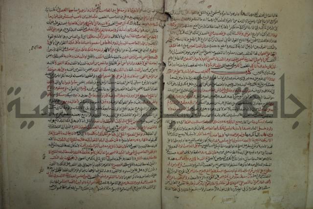 نهاية المحتاج الى شرح  المنهاج الجزء الثاني 