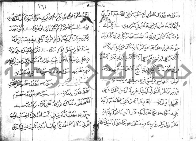عبارات بالتركية