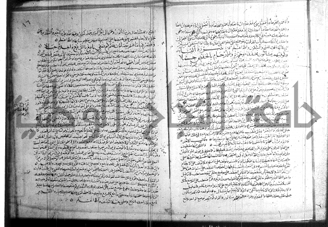 شرح الشاطبية