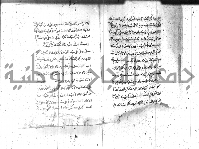 تنبيه الانام