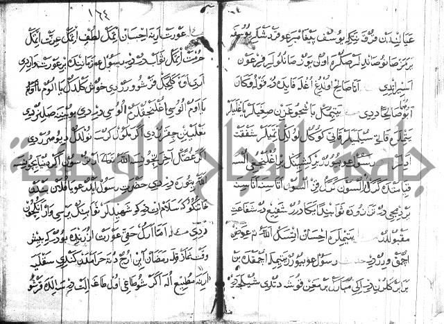 عبارات بالتركية