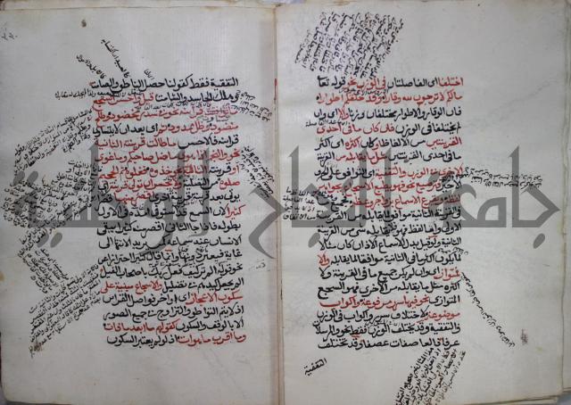 كتاب الفصل والوصل