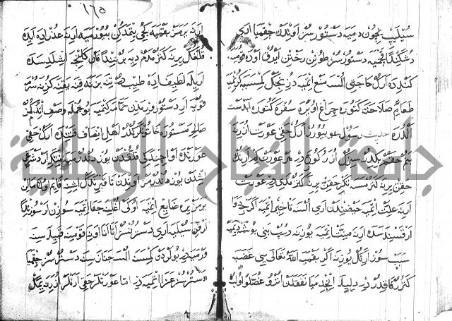 عبارات بالتركية