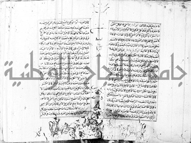 الاشباه والنظائر