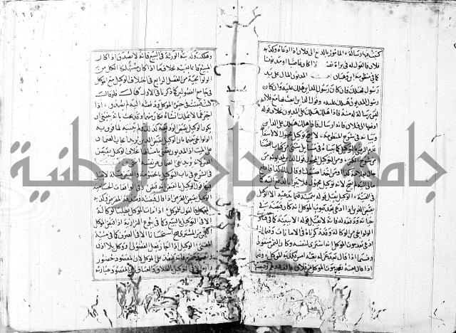 الاشباه والنظائر