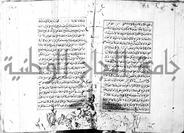 الاشباه والنظائر