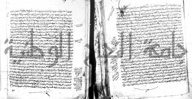 الفتاوى البزاري 