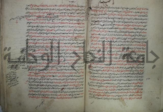 نهاية المحتاج الى شرح  المنهاج الجزء الثاني 